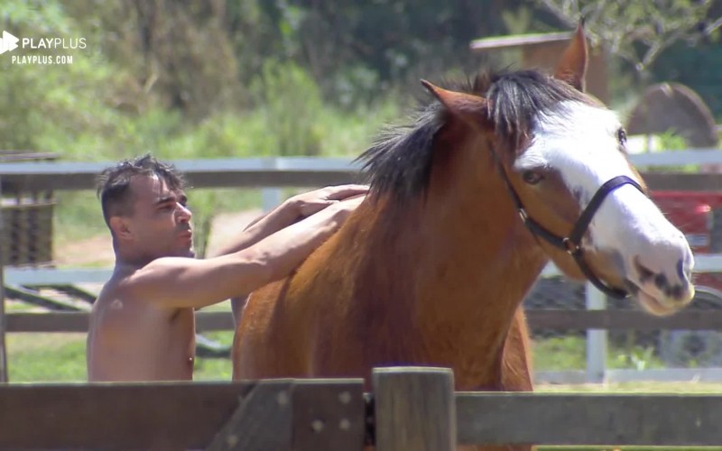 Em dia de sol, Jorge Sousa brinca com o cavalo Lyon: 