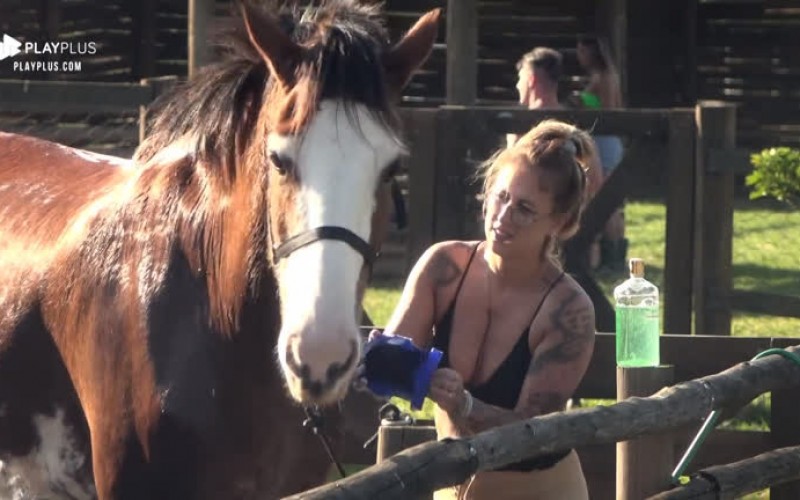Em dia de sol, peões dão banho refrescante no cavalo Lyon
