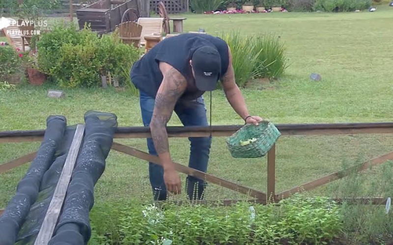 Em dia nublado, Netto acorda cedo para cuidar da horta da sede