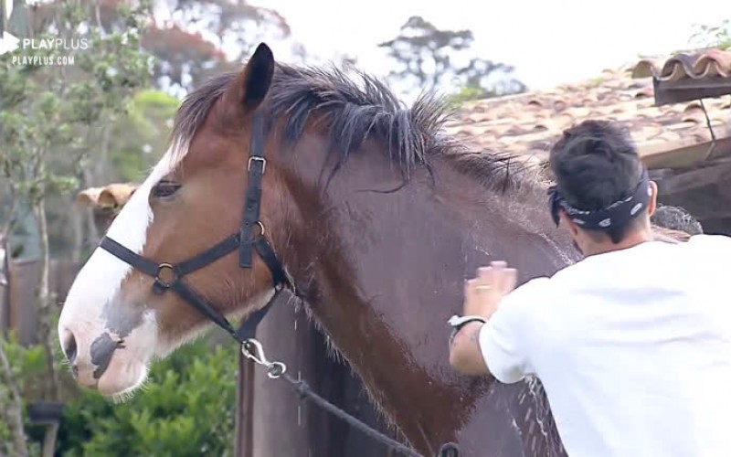 Em tarde de sol, Lucas Viana e Diego Grossi dão banho no cavalo Lyon