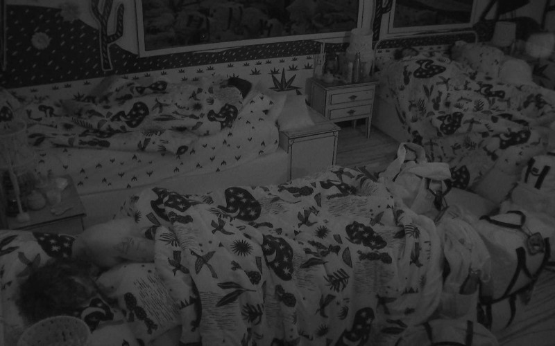 Confinados do BBB21 dormem após noite com troca de elogios