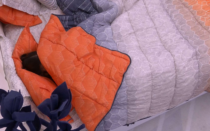 Ivete Sangalo vai para debaixo do edredom no Quarto do Líder