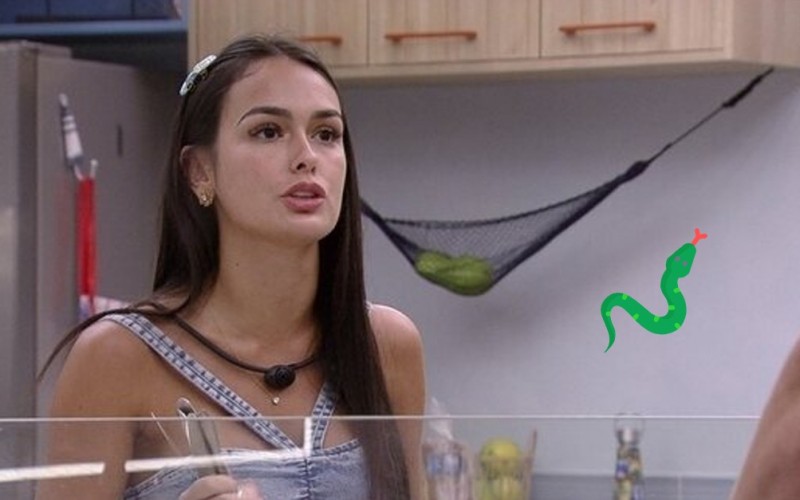 Quem deu emoji de cobra para Larissa no Queridômetro? Saiba!