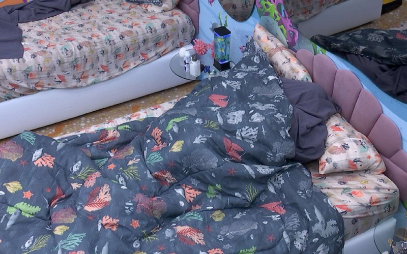 Sarah Aline e Ricardo vão para baixo do edredom no BBB 23