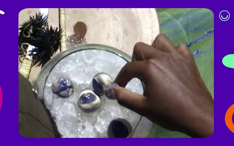 Veja as Provas da Comida de 