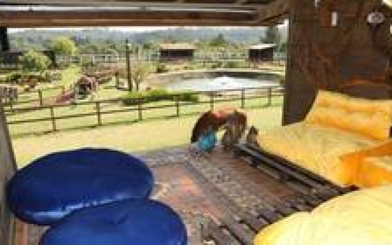 Entenda por que a Casa da Árvore já é o lugar preferido dos peões