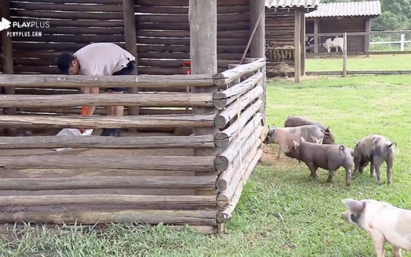 Guilherme Leão acorda cedo para limpar o chiqueiro da sede