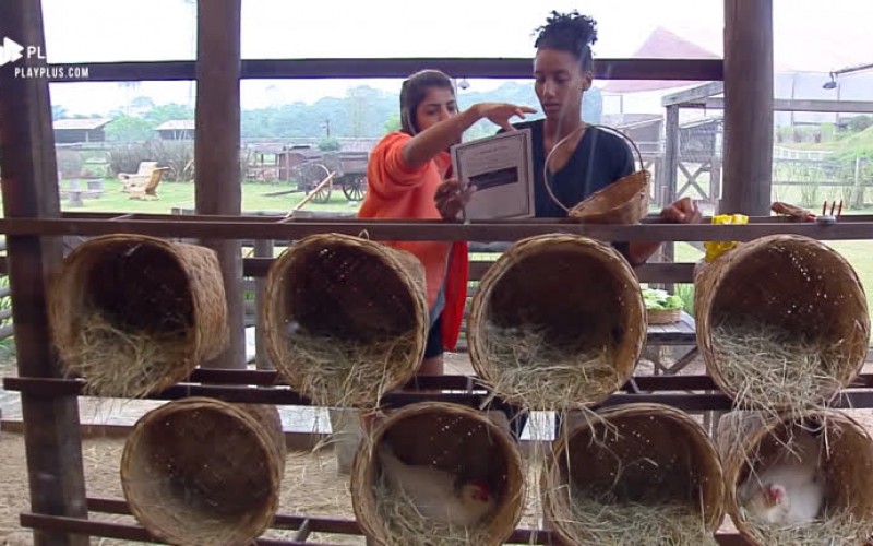 Hari Almeida e Sabrina Paiva coletam ovos das galinhas