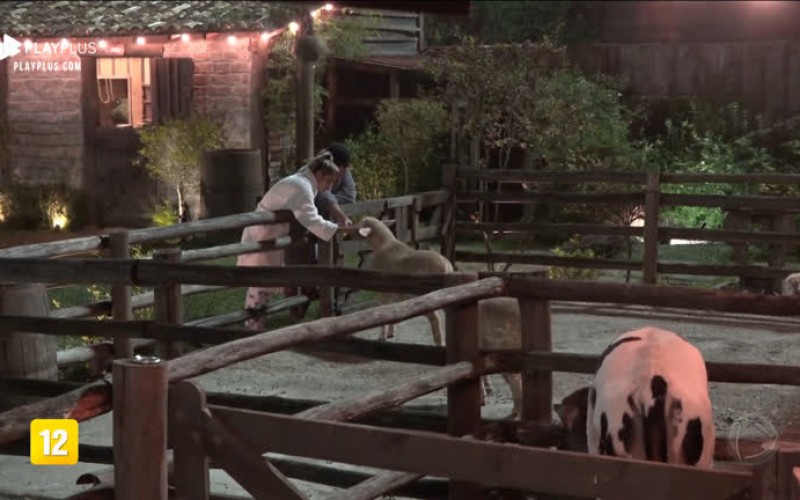 Hari e Lucas visitam os animais