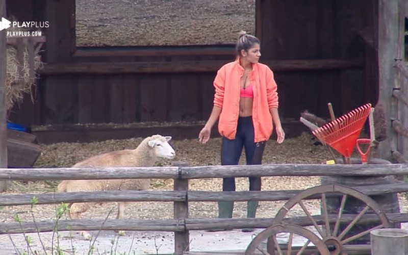 Hariany Almeida se diverte ao cuidar das ovelhas