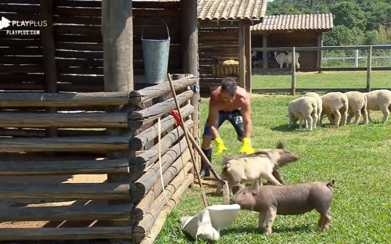 Jorge Sousa é driblado pelos porquinhos durante atividade