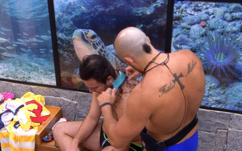 Kaysar muda visual de Diego e diz: 