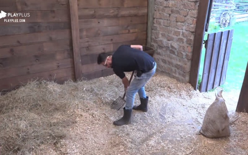 Lucas e Diego comentam que Phavanello se atrasou para tarefa