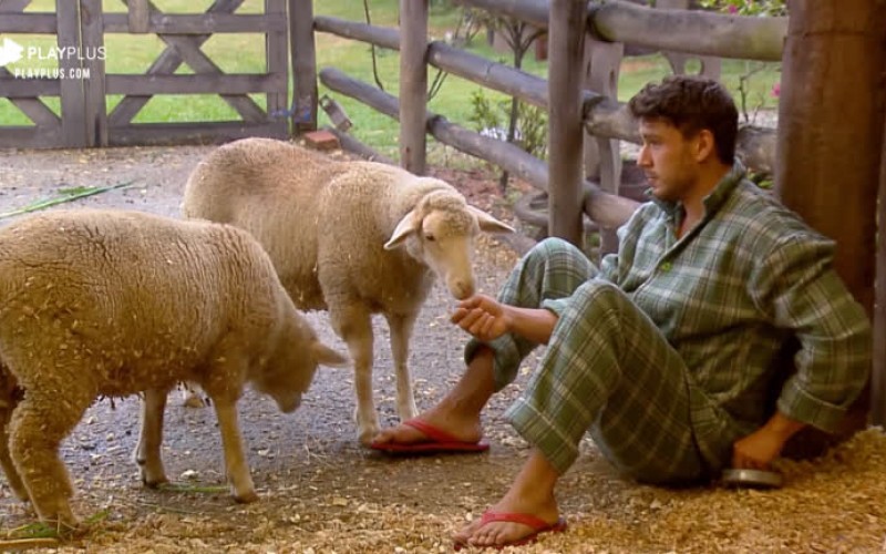 Lucas Viana acorda e vai acariciar bezerro e alimentar ovelhas