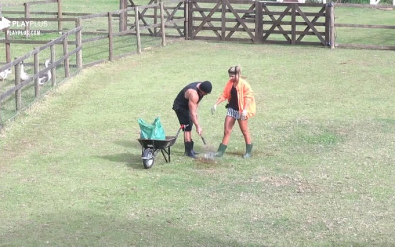 Lucas Viana ensina Hariany Almeida a cuidar do cavalo Lyon