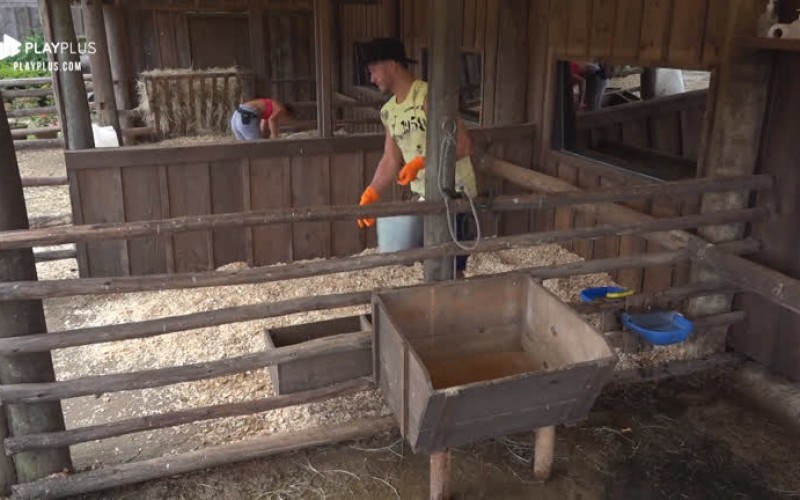 Lucas Viana sobre Hariany Almeida: 