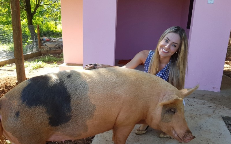 Paula, do BBB19, ama animais e tem uma porca de estimação