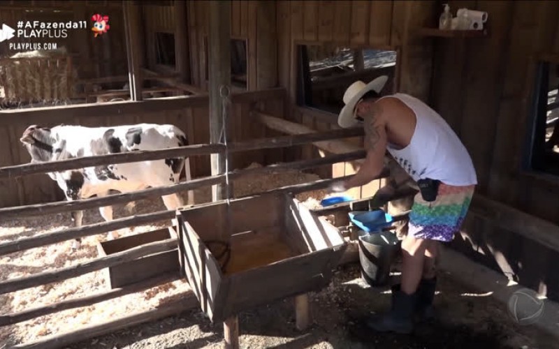 Peões acordam e fazem as tarefas do dia