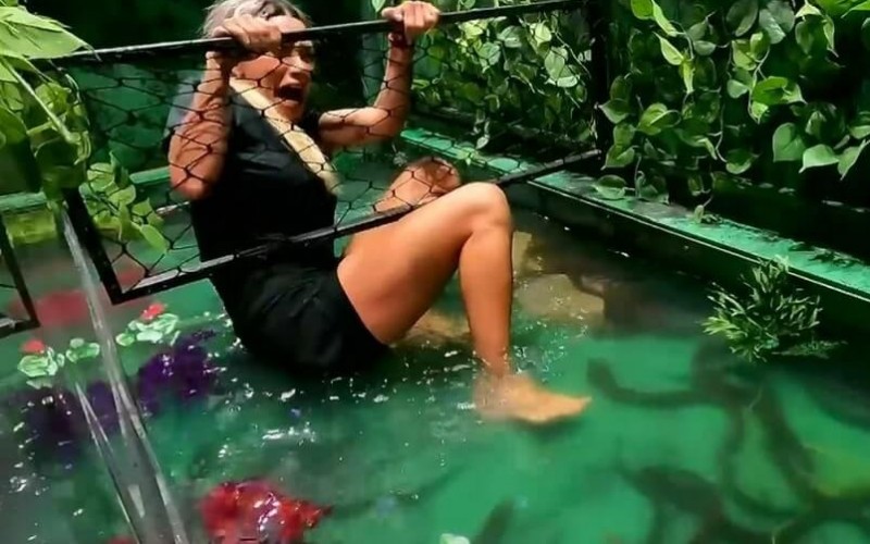 Power Couple 7 vira No Limite e solta cobras, enguias e baratas nas mulheres