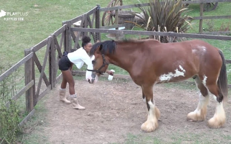 Preocupada com o cavalo, Sabrina Paiva aplica repelente em Lyon