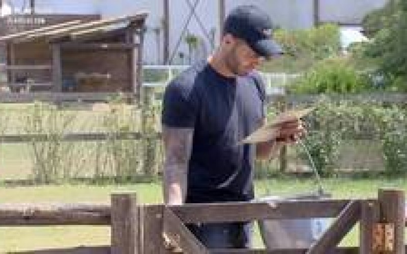 Relembre 3 vezes que os peões ficaram confusos nas tarefas