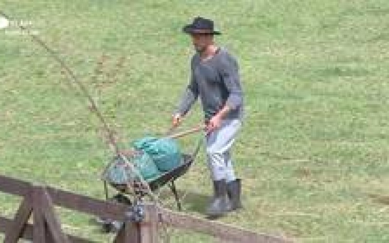 Relembre 5 momentos em que Lucas Viana ajudou na limpeza