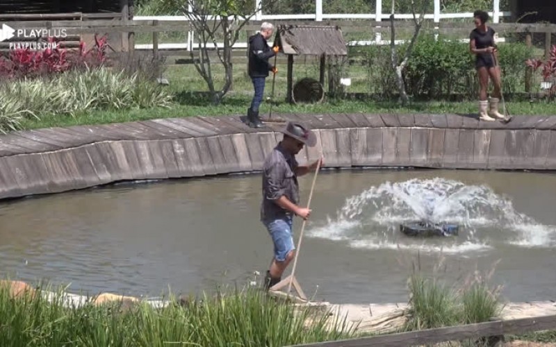 Rodrigo, Viny e Sabrina dão duro para limpar lago dos gansos
