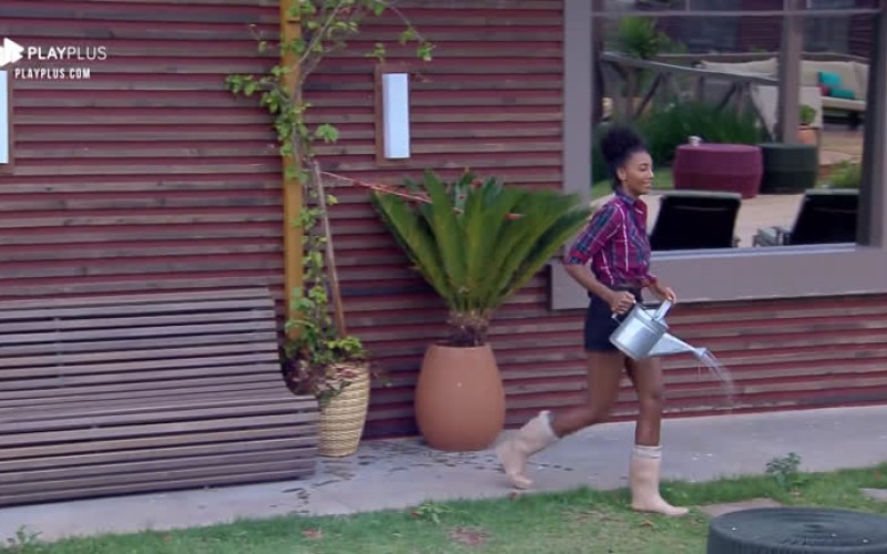 Sabrina Paiva acorda cedo para cuidar do jardim da sede