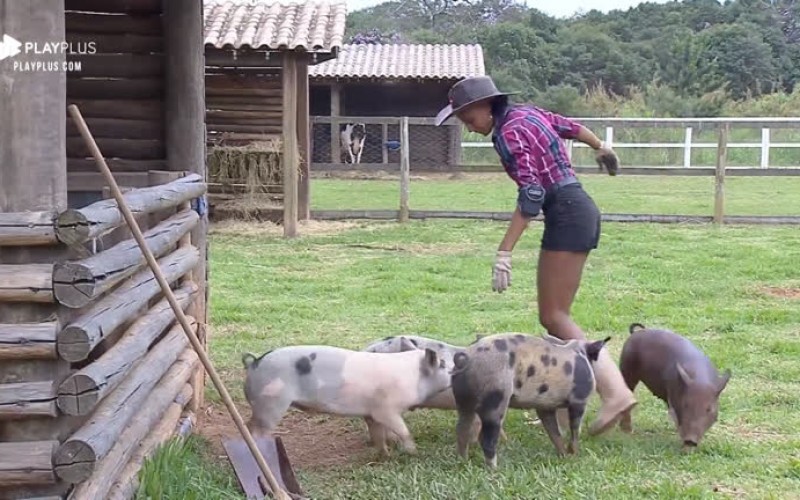Sabrina Paiva aproveita dia quente para dar banho nos porcos