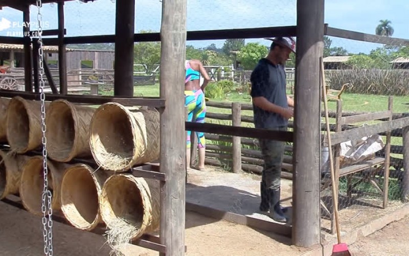 Sabrina Paiva e Rodrigo Phavanello cuidam do galinheiro da sede