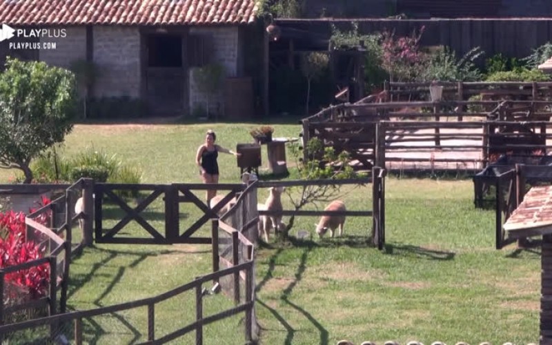Thayse se atrapalha para cuidar das ovelhas