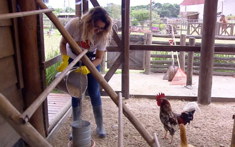 Thayse Teixeira dá bronca nas galinhas: 