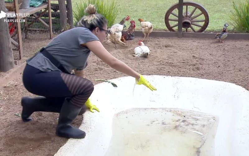 Thayse Teixeira pede ajuda para Lucas Viana no galinheiro