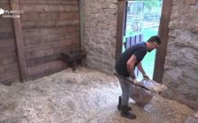 Veja 4 vezes que Diego Grossi se empenhou nas tarefas