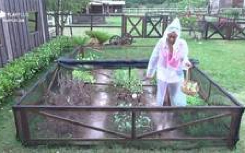 Veja 4 vezes que os peões foram surpreendidos pela chuva