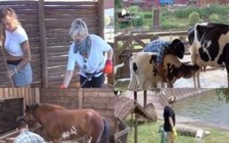 Veja 5 momentos em que os peões passaram apuros com os animais