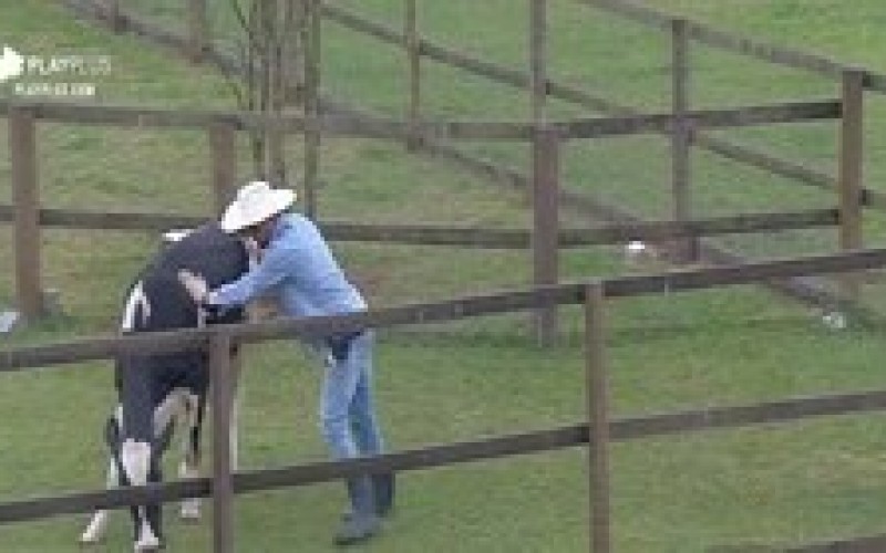 Veja os momentos hilários que os animais já dividiram com os peões&nbsp;