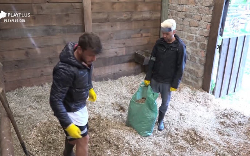 Viny acredita que voto de Hari repercutiu nas redes: 