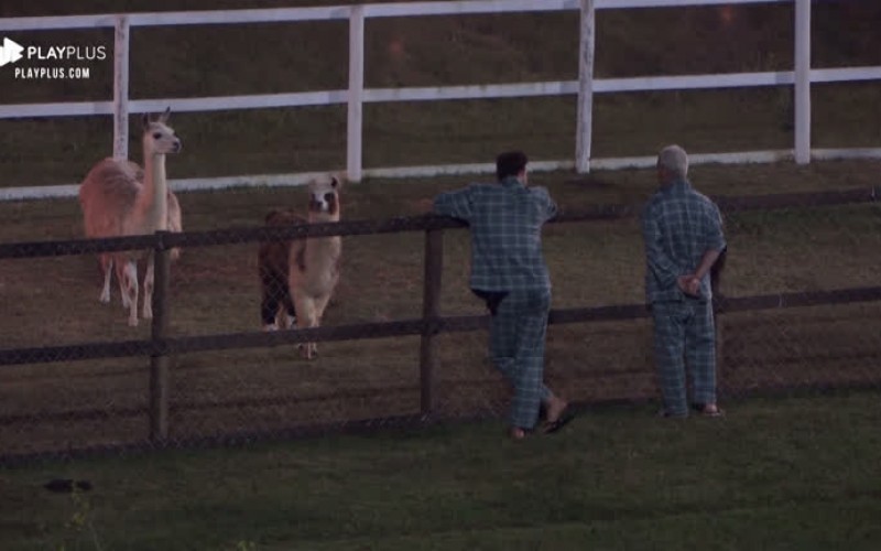 Viny e Guilherme Leão tentam 