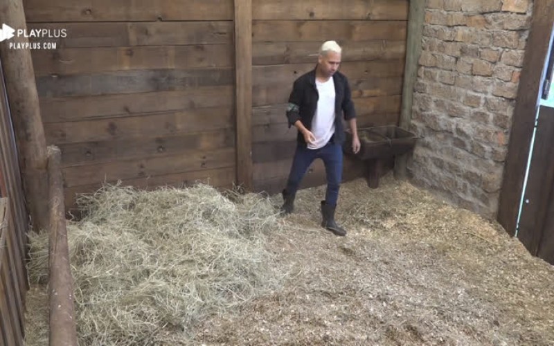 Viny Vieira acorda cedo para arrumar baia do cavalo Lyon