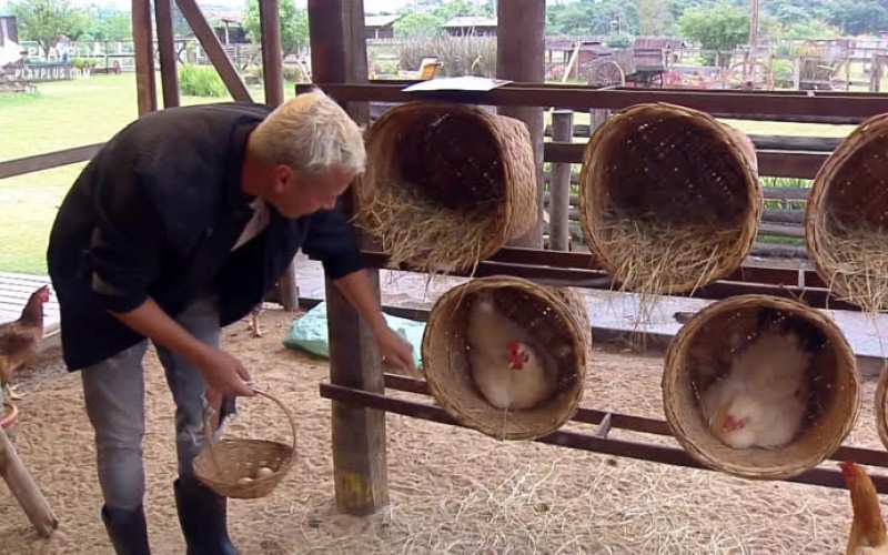 Viny Vieira imita Chacrinha na hora de coletar ovos das galinhas