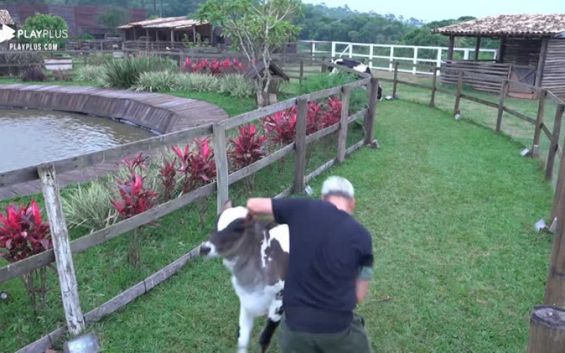 Viny Vieira se diverte ao tomar dribles e cabeçadas de bezerro