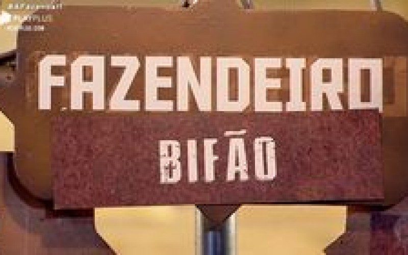 Você sabe como a Fazendeira Bifão fez a divisão de tarefas?