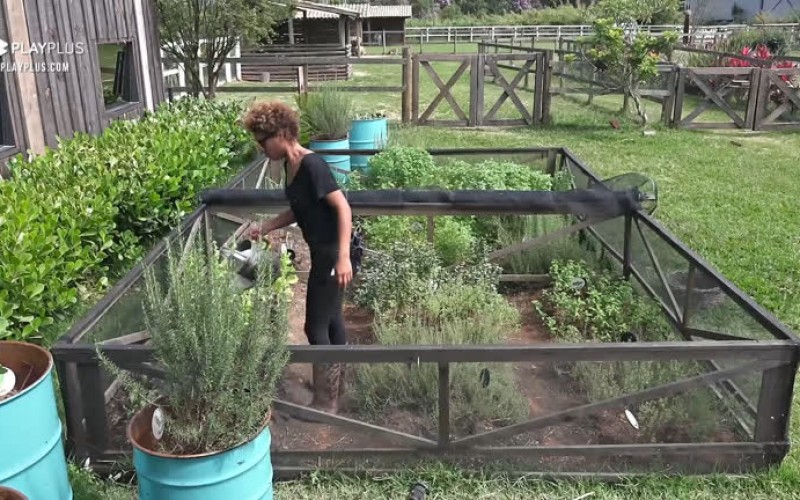 Lidi cuida da horta - A Fazenda 12