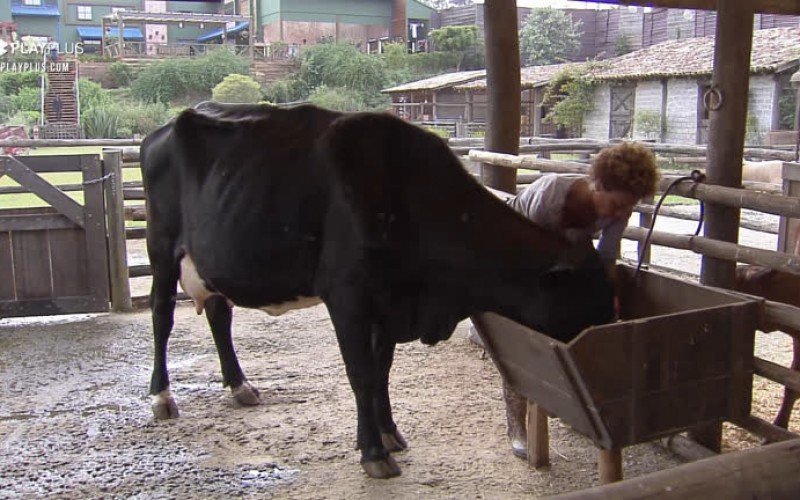 Lidi cuida da vaca - A Fazenda 12
