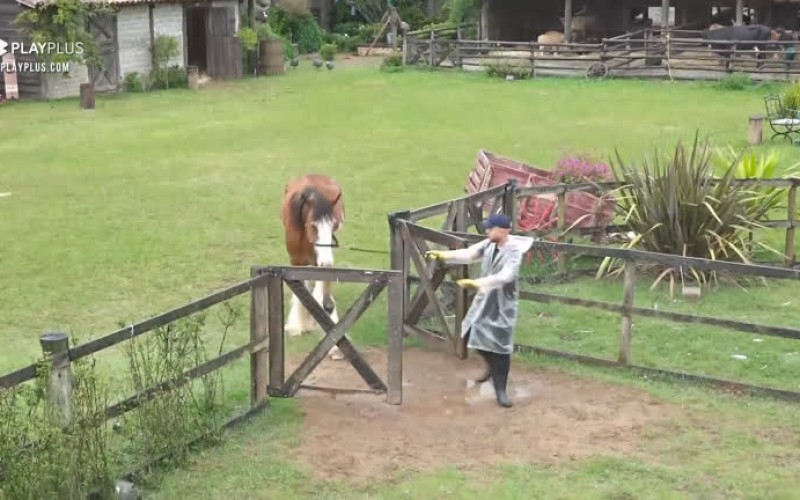 Lucas conversa com Lyon - A Fazenda 12