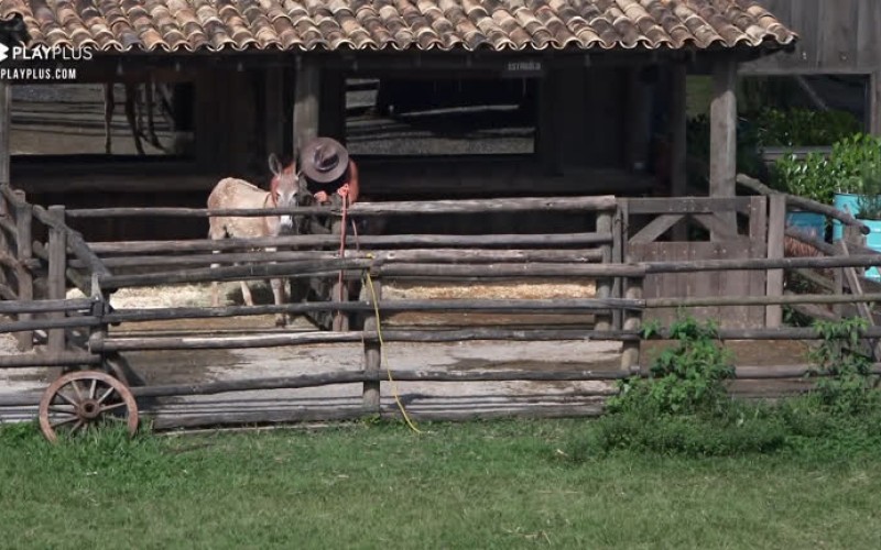 Mateus conversa com Juju - A Fazenda 12