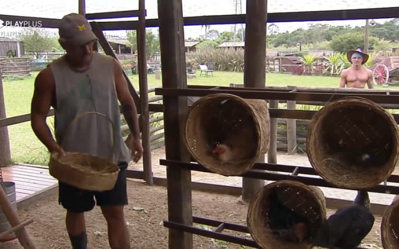 Mateus pega ovos das galinhas - A Fazenda 12