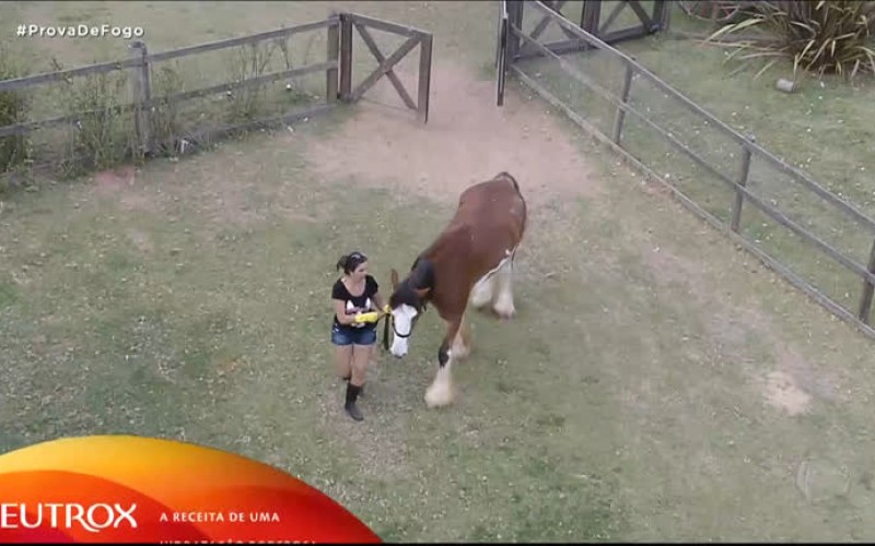 Peões trabalham no campo - A Fazenda 12