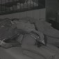 Vídeos do BBB 26 de segunda-feira, 16/3